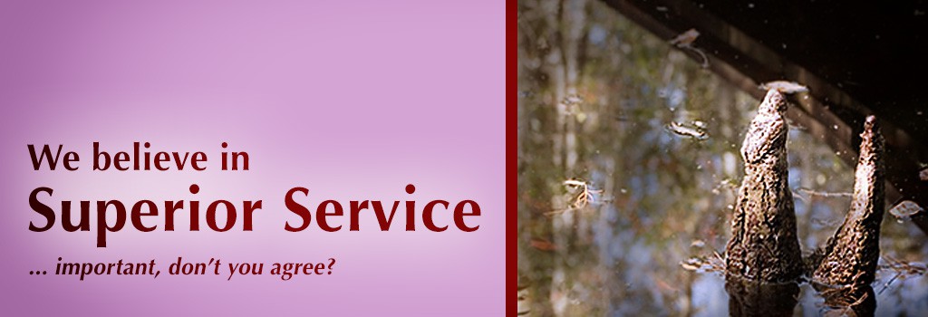 CB Advertising Services 